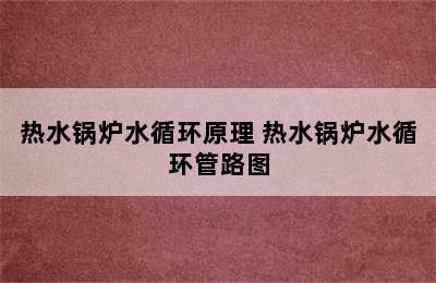 热水锅炉水循环原理 热水锅炉水循环管路图